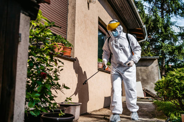 Best Pest Prevention Services  in Healdsburg, CA