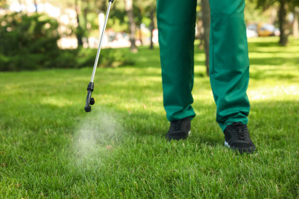 Trusted Healdsburg, CA Pest Control Experts