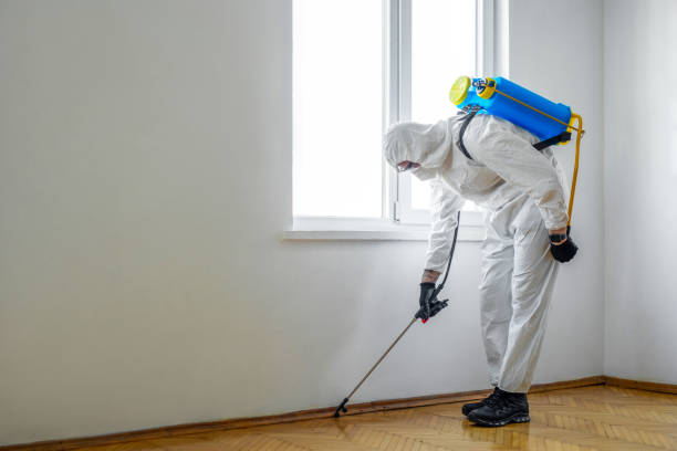Best Cockroach Control Services  in Healdsburg, CA