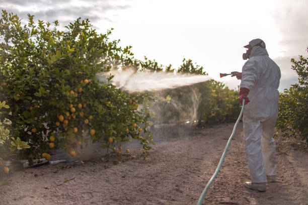 Best Best Pest Control Companies  in Healdsburg, CA
