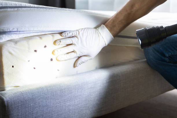 Best Exterminator Services  in Healdsburg, CA