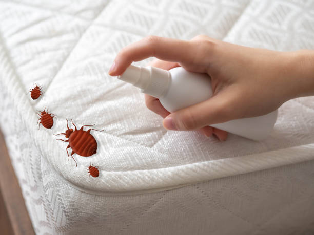 Best Pest Removal Services  in Healdsburg, CA